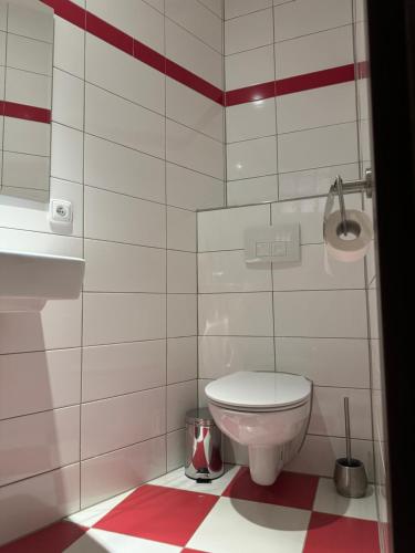 a bathroom with a toilet and a sink at Zlatý Klas in Mariánské Lázně