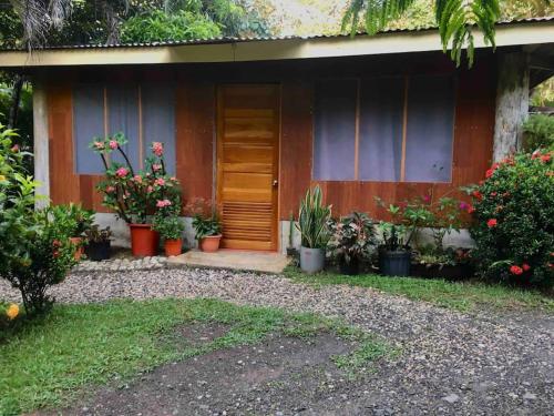 Taman di luar Casa Sol