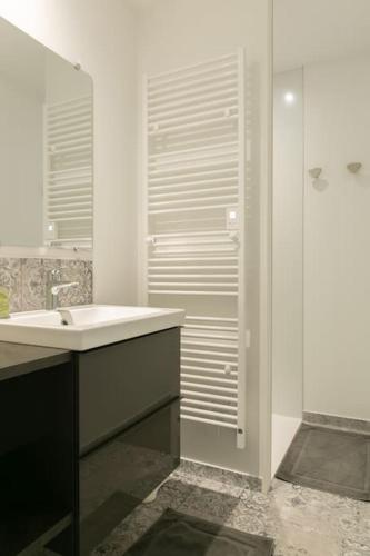 une salle de bain blanche avec un lavabo et une douche dans l'établissement La boulangerie appartement 2, à Janzé