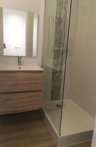 une salle de bain avec une douche en verre et un lavabo dans l'établissement Flat air conditioning 4 people near stadium beach, à Marseille