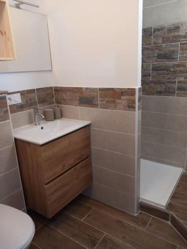 une salle de bain avec un lavabo, des toilettes et une douche dans l'établissement Studio entièrement rénové, à Cavaillon