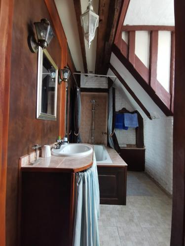 une salle de bain avec un lavabo et une baignoire dans l'établissement Chateau Chandler 17eme 4 étoiles en Sologne, proche Sancerre et châteaux royaux, à Brinon-sur-Sauldre