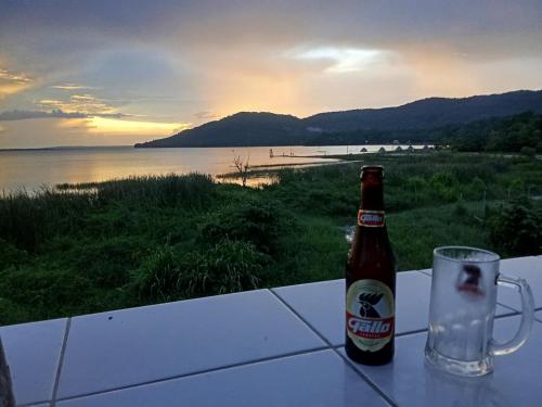 a bottle of beer sitting on a table with a glass at Zazil Ha Hostel in El Remate