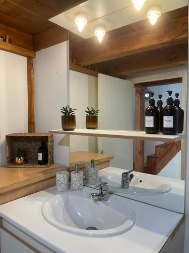 - un lavabo dans la salle de bains avec 2 bouteilles sur une étagère dans l'établissement L'Authentique des Carmes, à Toulouse