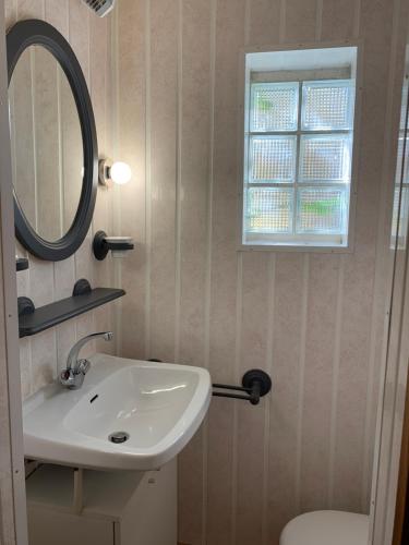 une salle de bain avec un lavabo et un miroir et des toilettes dans l'établissement Maison indépendante Haute-Corse mer et montagne, à Santo-Pietro-di-Tenda