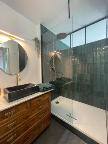 a bathroom with a sink and a glass shower at Petit nid strasbourgeois in Strasbourg