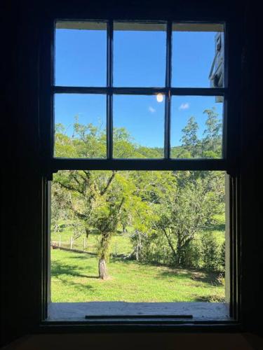 a window with a view of a tree at Chácara da Aráucária - sítio privativo com piscina, churrasqueira e área verde in Presidente Lucena