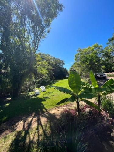 a garden with trees and a field of grass at Chácara da Aráucária - sítio privativo com piscina, churrasqueira e área verde in Presidente Lucena