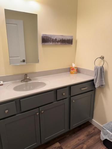 a bathroom with a sink and a mirror at N Walnut Street in Bloomington