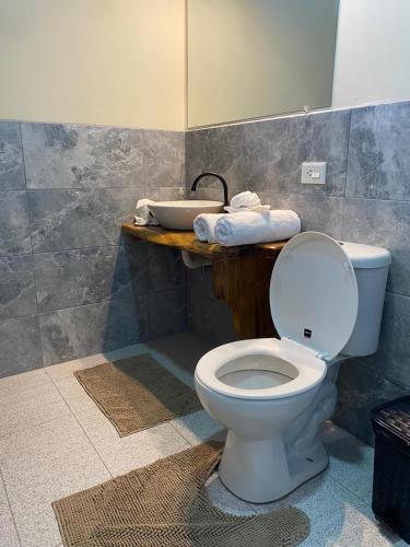 a bathroom with a toilet and a sink at Cabañas Armonía y Jardín de Orquídeas in Mindo