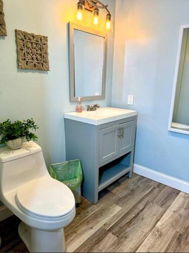 a bathroom with a toilet and a sink and a mirror at The House Hotels - Terrific W33rd in Cleveland