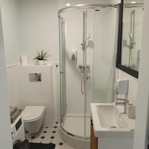 a bathroom with a shower and a toilet and a sink at Apartament na Starówce in Elblag
