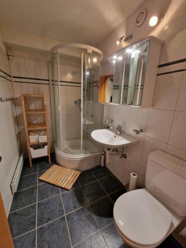 Magnifique appartement en bord des pistes