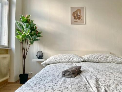 110 m2 Sunny & Central Long Term Apartment - Free Parking