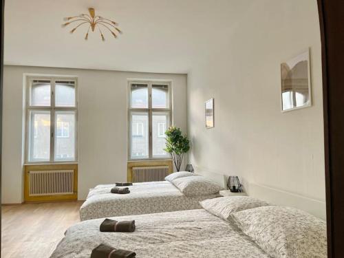 Postel nebo postele na pokoji v ubytování 110 m2 Sunny & Central Long Term Apartment - Free Parking