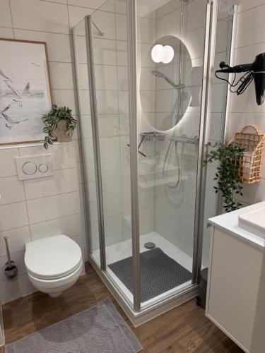 a bathroom with a shower with a toilet and a sink at Ferienwohnung Lüttje Mööv an der Nordsee in Wangerland