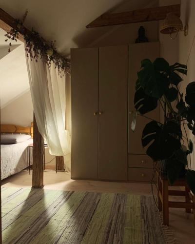 Foto Tartus asuva majutusasutuse Hygge Home with terrace - Cottage-Style apartment with free parking Friday 7 pm - Monday 8 am galeriist