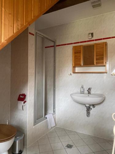 a bathroom with a sink and a shower at Pfarrhaus Tollensesee in Penzlin