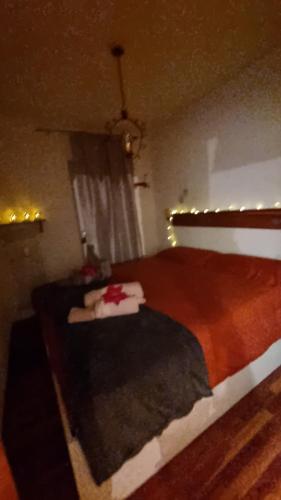 诺支Trento- Monte Bondone Appartamento tipico di montagna的相册照片