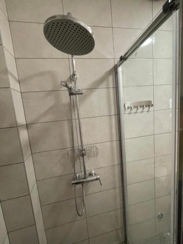 a shower with a shower head in a bathroom at Под старой лозой in Novi Sad