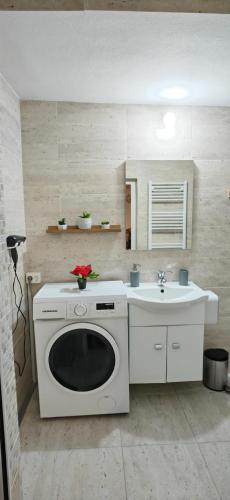a kitchen with a washing machine and a sink at Casa Ramo in Râşnov