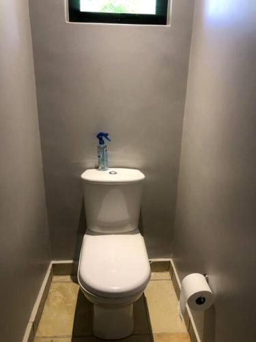 a small bathroom with a white toilet and a window at Lakeside Apartment in Oubaai Golf Estate in George