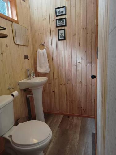 a bathroom with a white toilet and a sink at Cabaña en el bosque con opción tina caliente in Puerto Varas