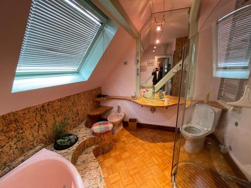 a bathroom with a shower and a toilet and a sink at Colmar guesthouse in old town 6 people in Colmar