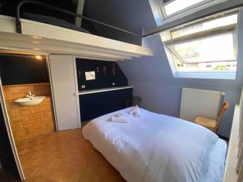 a bedroom with a white bed and a sink at Colmar guesthouse in old town 6 people in Colmar