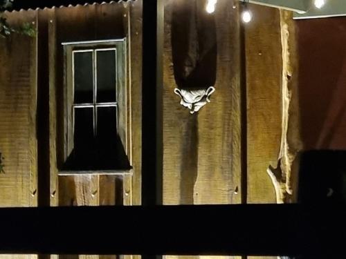 a window and a spider on the side of a building at Country Cottage Sunshine Coast in Montville
