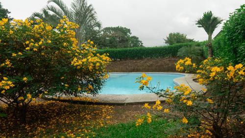 Πισίνα στο ή κοντά στο Holly House La Fortuna