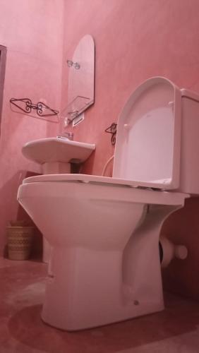 a bathroom with a white toilet and a sink at Amerdoul in Icht