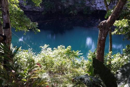 a blue pond in the middle of a forest at Home away from Home in La Villa Isabela in La Isabela