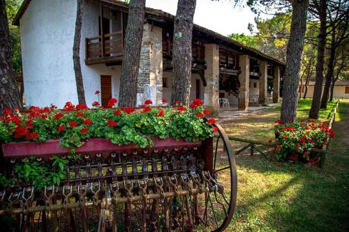 Сад в Belvedere Pineta Camping Village Grado