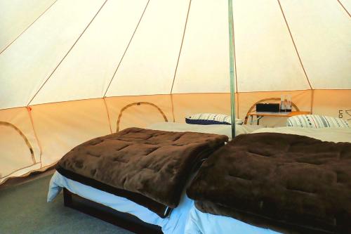 two beds in a tent in a room at Seaside Base ARARI in Nishiizu
