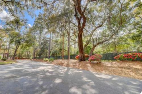 a road with a tree on the side of it at #88 Elegant 3-Bedroom Pet Friendly with Parking in Hilton Head Island