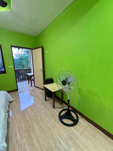 a room with a green wall with a fan at Kiarra Krisxia Lodge in El Nido