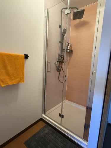a shower in a bathroom with a glass shower stall at Sansui Resorts Yamanakako in Yamanakako