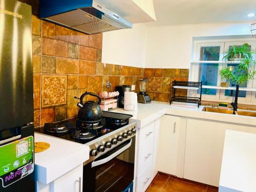 Dapur atau dapur kecil di Casa céntrica Las Higueras