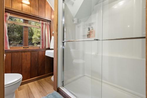 a bathroom with a shower and a toilet at The Knotty Cabin in Kings Canyon National Park in Wilsonia