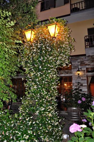 a large plant with white flowers on a building at Pelias Hotel in Portariá