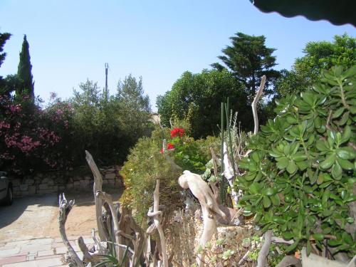 a garden with cacti and other plants and flowers at Hôtel Punta e Mare des Chambres ou des Appartements T2 in Cargèse