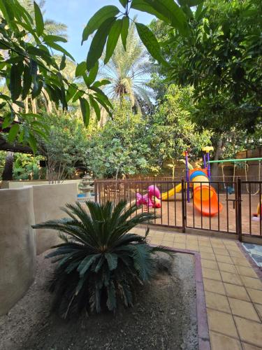 a playground in a park with a palm tree at Hatta Orchard in Hatta