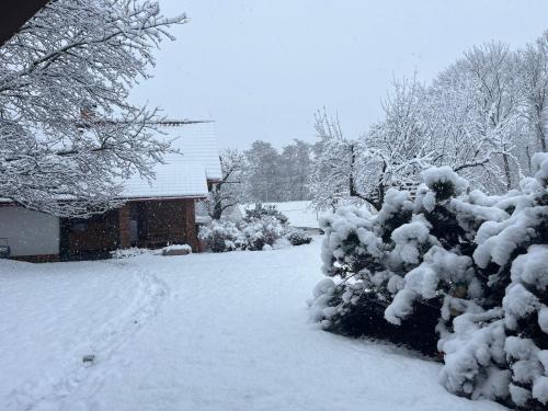 a yard covered in snow with a house at Dům Amelia s vyhřívaným bazénem in Miřetice