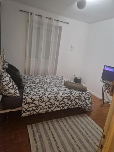 una camera da letto con un letto e una televisione di Une chambre Salle de bain Wi-Fi a Bédarrides