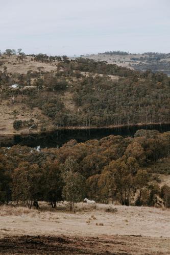 a hill with trees and a bridge in the distance at Eagle View Escape in Rydal