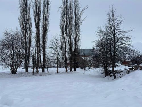 a group of trees in a snow covered field at Cozy Wooden House near Gudauri in Gudauri