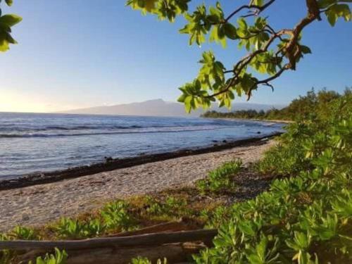 a sandy beach with the ocean in the background at Ocean Side Bungalow in Teavaro