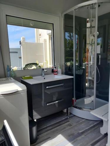 une salle de bain avec un lavabo et une douche avec un miroir dans l'établissement SEJOUR en OPALE WISSANT, à Wissant