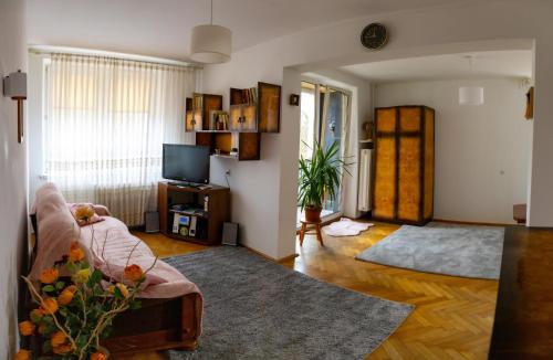 Televízia a/alebo spoločenská miestnosť v ubytovaní Nad Motławą